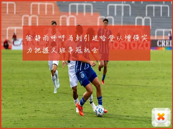 徐静雨呼吁马刺引进哈登以增强实力把握文班争冠机会